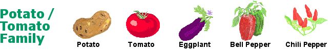 Potato / Tomato Family