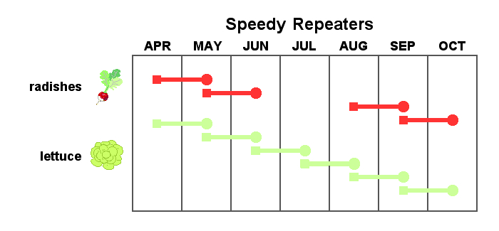 Speedy Repeaters